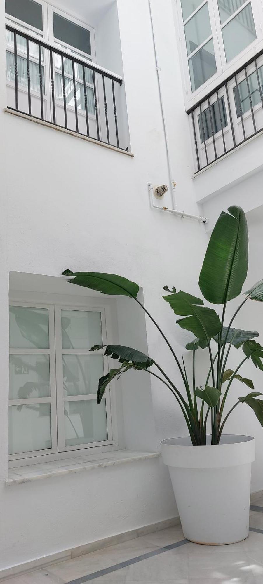 El 2 De Flamenco Bajob Apartment Cadiz Ngoại thất bức ảnh