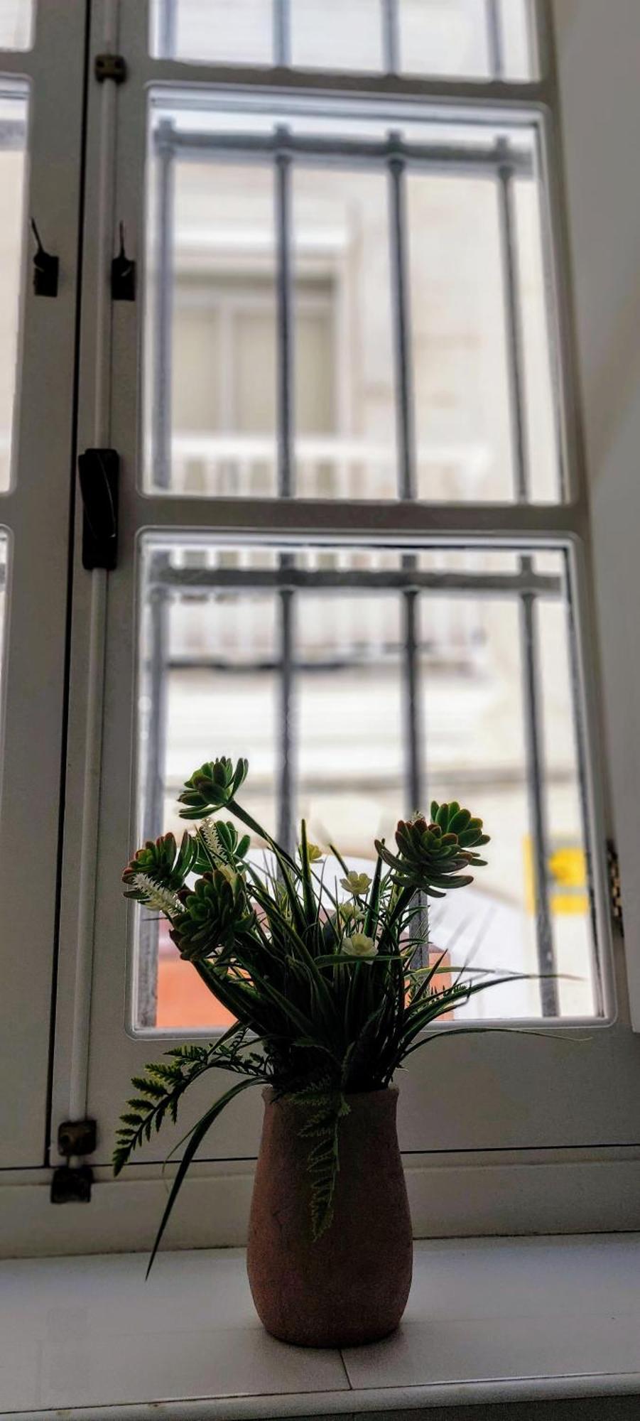 El 2 De Flamenco Bajob Apartment Cadiz Ngoại thất bức ảnh